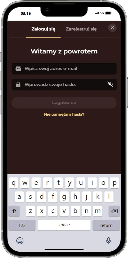 Logowanie w kasynie Vincispin zrzut ekranu